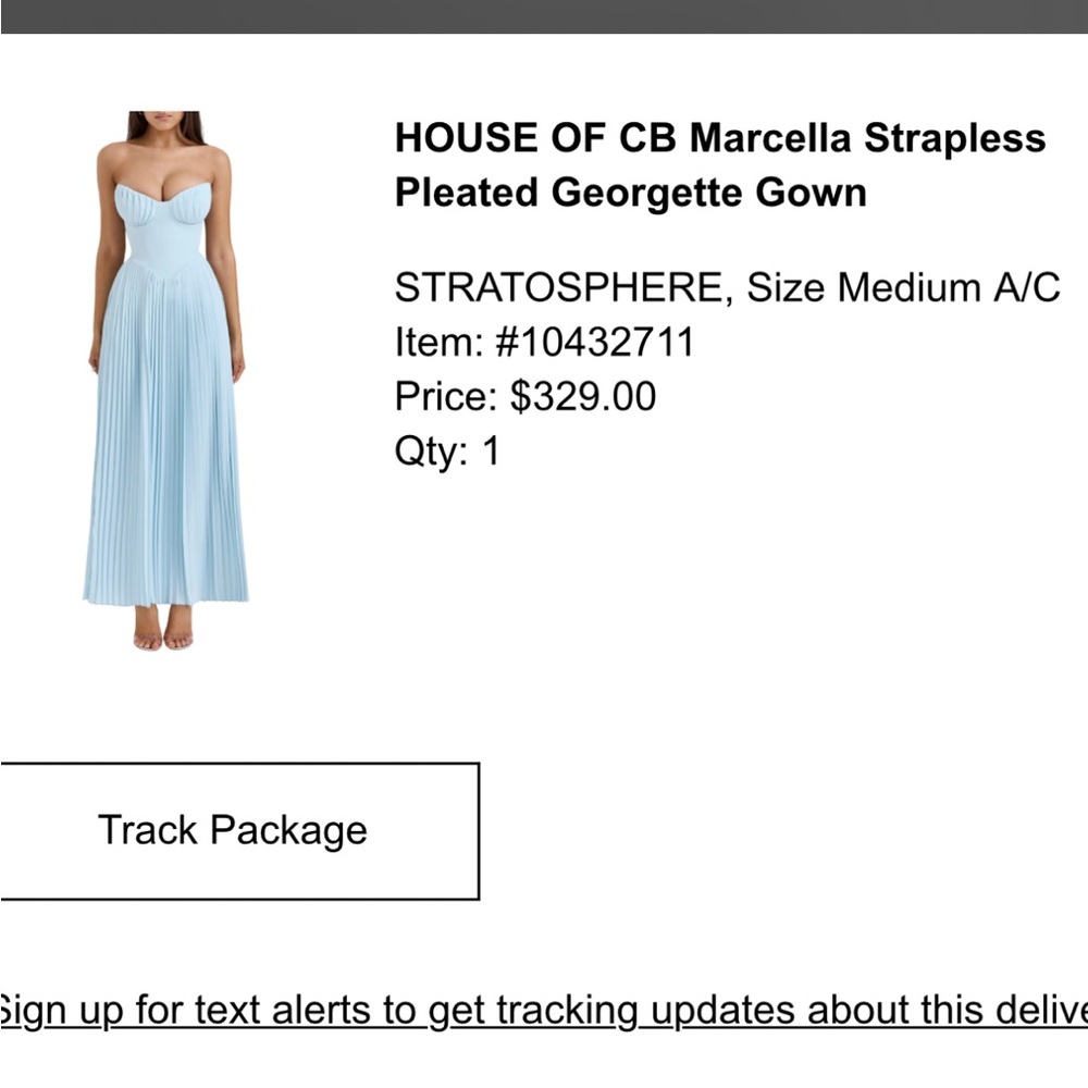 House of CB Light Blue Marcella Pleated Georgette Gown